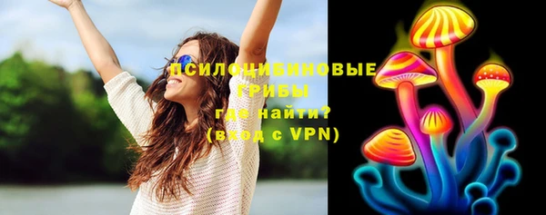 крисы Алзамай