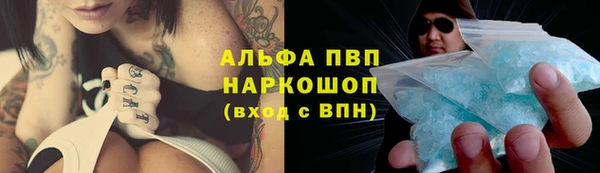 крисы Алзамай