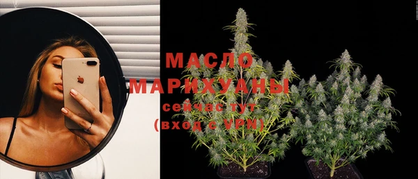 крисы Алзамай