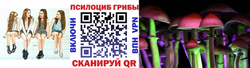 Псилоцибиновые грибы GOLDEN TEACHER  Инсар 